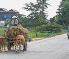 Transport. Gunnar Nilsson