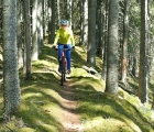 Skogscykling. Erik Spjut